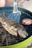 Bild på Weber®  Premium Grillspade