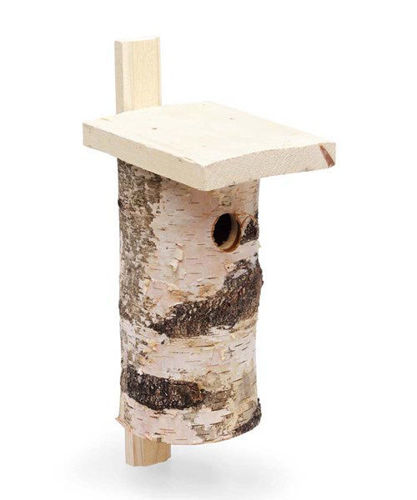 Bild på NYBY Fågelholk i björk, Litet hål 3,5 cm